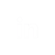 linkedin-icono